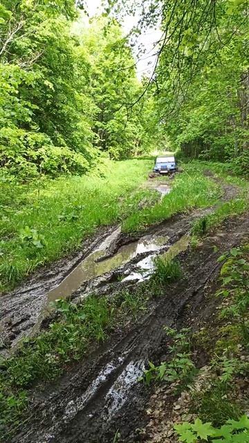 Лесные угодья Шигонского района
Jeep Wrangler YJ