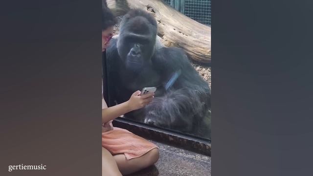 Обезьянка одержима волшебным трюком! Самая смешная реакция животного