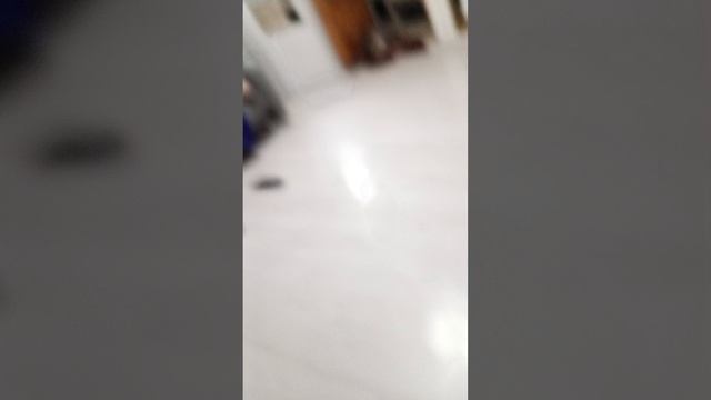 1000031161.mp4
