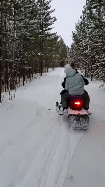 НА СНЕГОХОДАХ В ТАЙГУ!