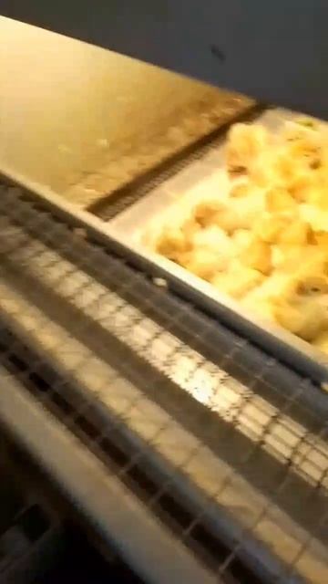1750174744255.mp4