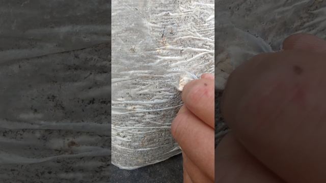 1000189497.mp4