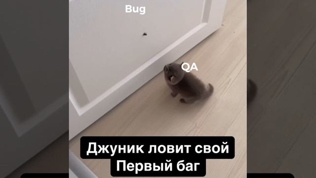 Джуник ловит свой первый баг
