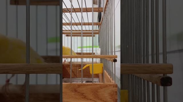 1000110524.mp4