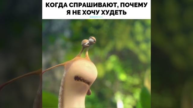 Приведём себя в форму???