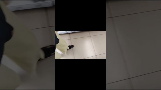 в магазине с реборном аделиной