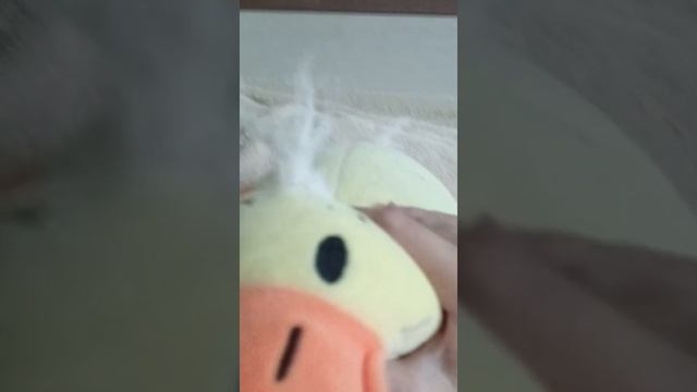 утка поетъ матушка земля 2 часть