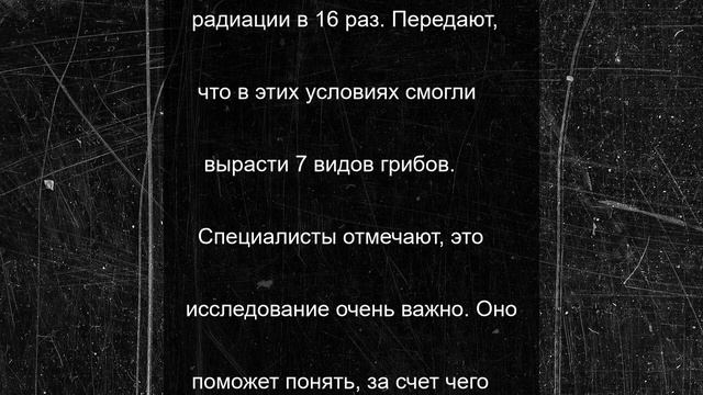 У ядерного реактора в экстремальной среде смогли выжить грибы