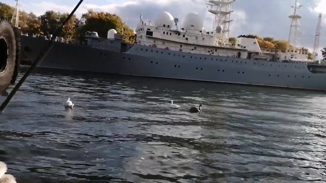 15.10.2024. Наши маленькие путешествия 2024) Немножко Балтийская и балтийских лебедей)