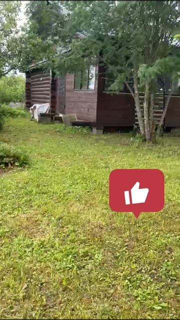 Первенец в этом году !