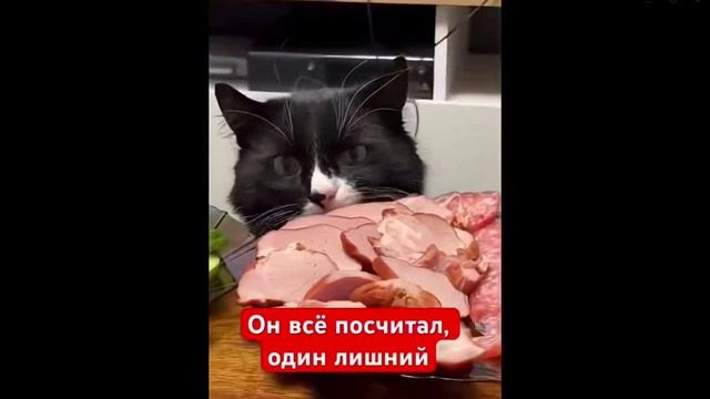 Спокойной ночи, Друзья!