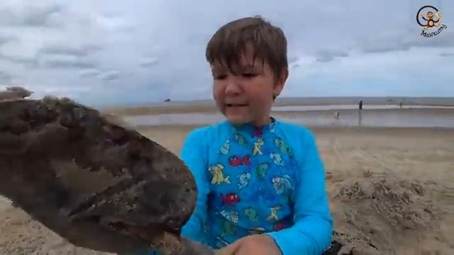 Приключения продолжаются