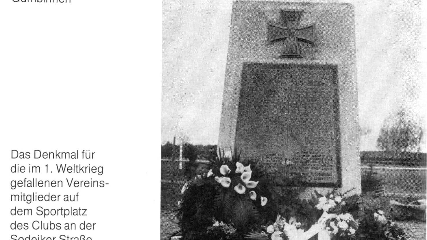 Города Калининградской области Gumbinnen-Гусев 29 фото  города и жителей 100 лет назад