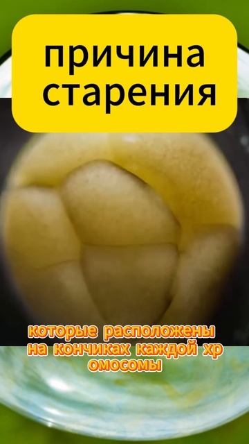 Почему мы стареем.#реки