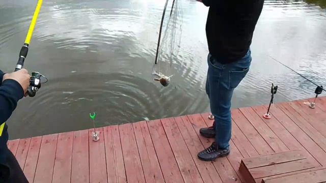 1000091238.mp4