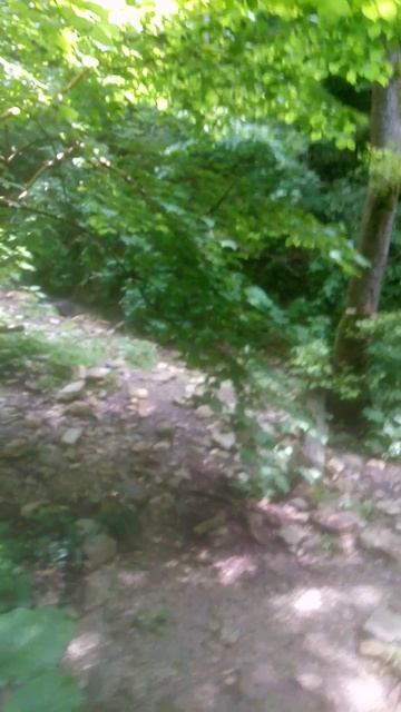 VID_20250621_100357