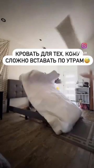 scene_output.mp4