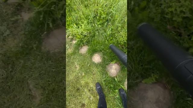 Ранцевая воздуходувка Greenworks GD82BP2 в работе.