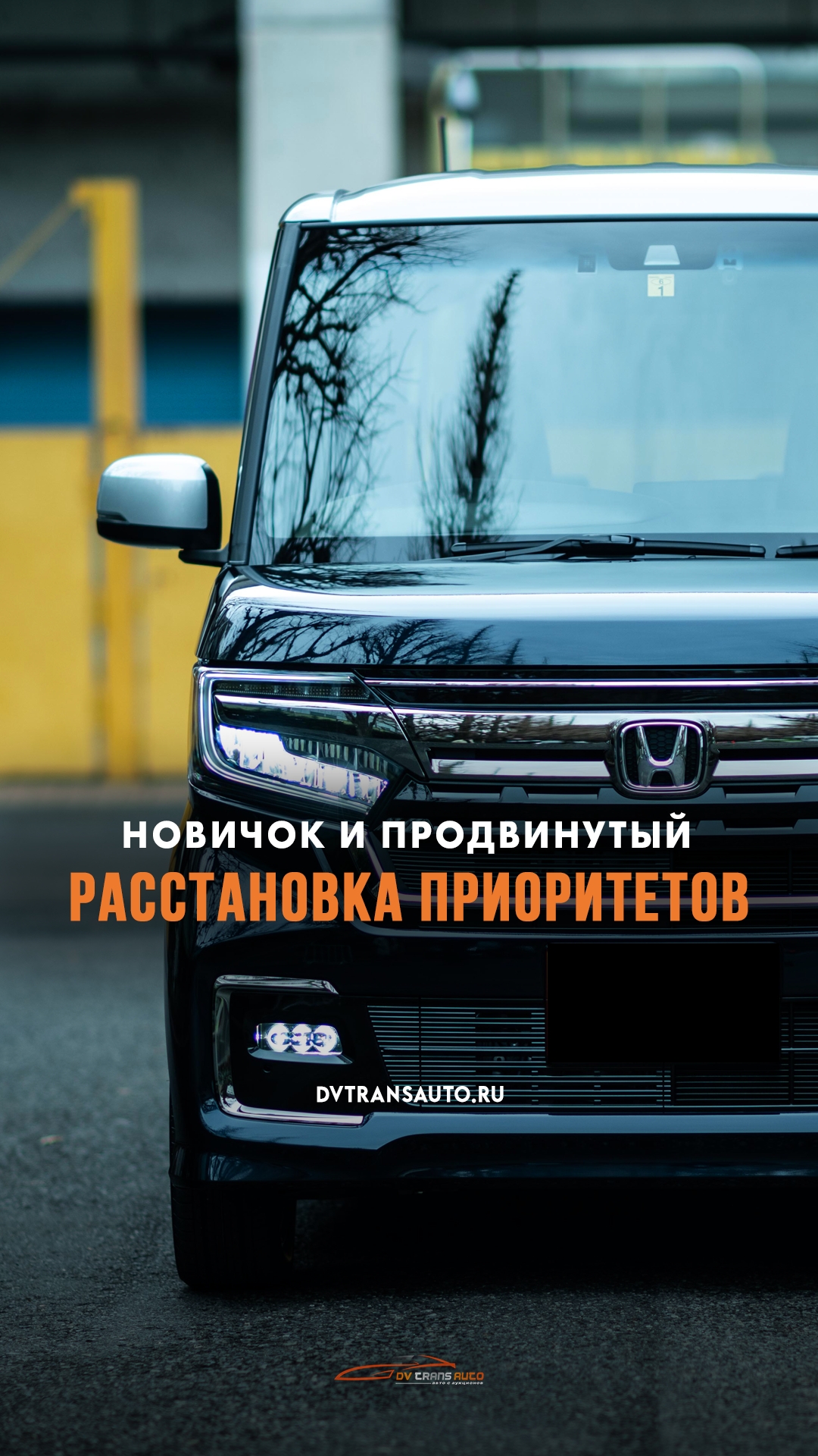 🤨А какой выбор делаете вы? Пишите в комментариях!