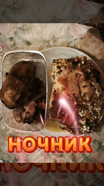 НОЧНИК