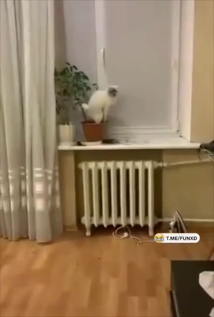 Засранец😁