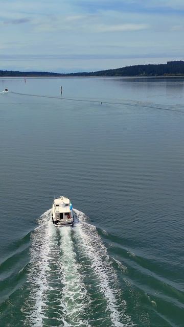 🚤 Путешествие от Ла-Коннер до пролива Дисепшн – сердце Тихоокеанского Северо-Запада 🌲🌊