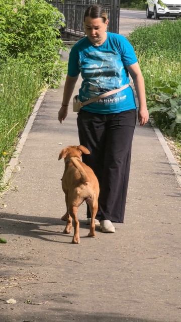 Погуляли, пора и за уроки.