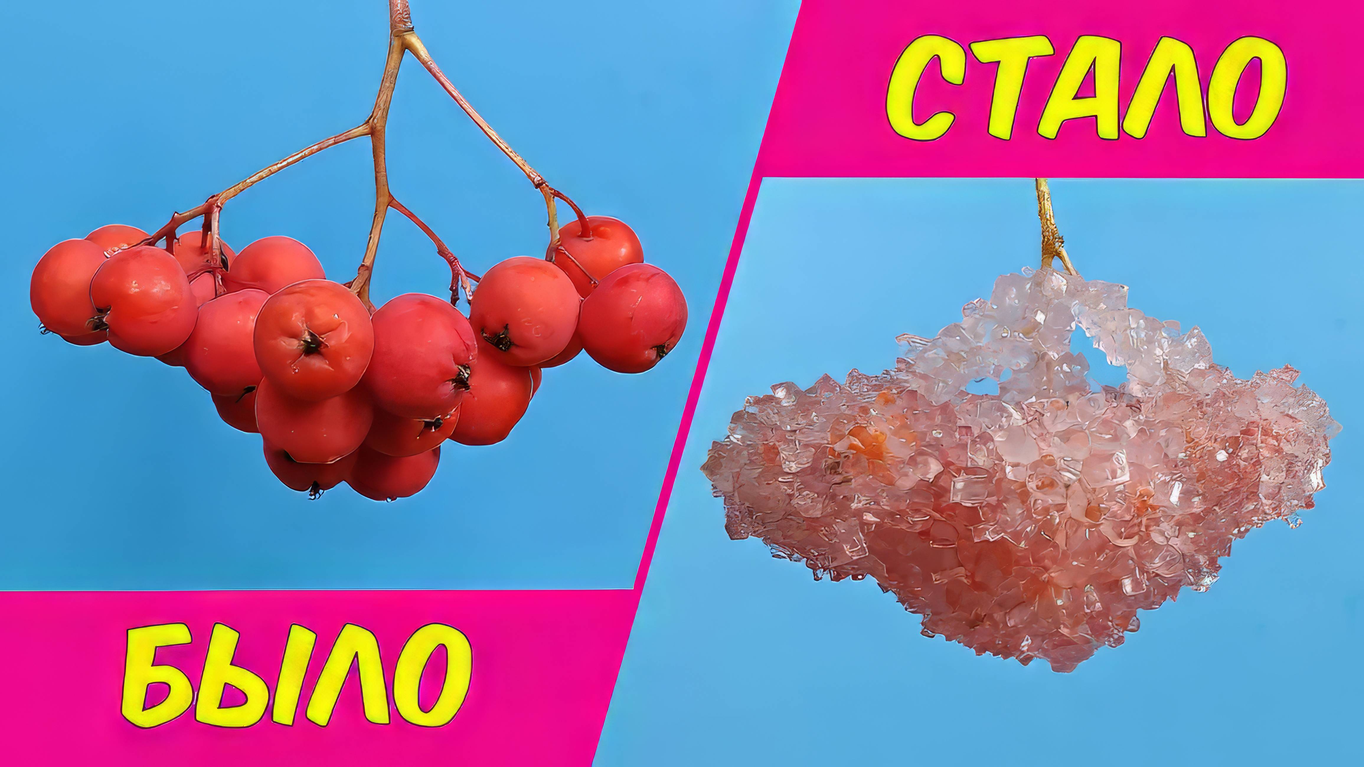 Как вырастить огромные кристаллы сахара на любом предмете!