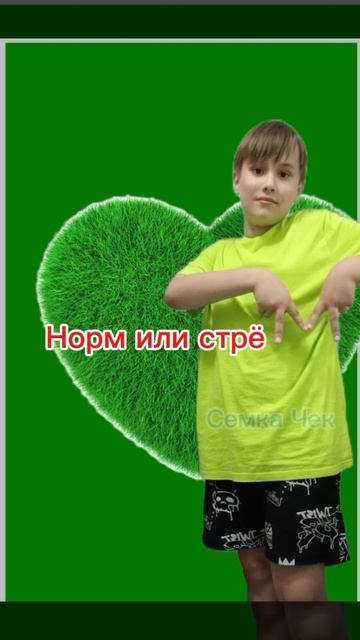 обложка НОРМ ИЛИ СТРЕМ
