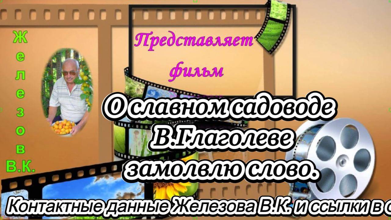 О славном садоводе В.Глаголеве замолвлю слово.