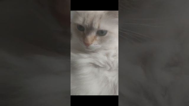 знакомство