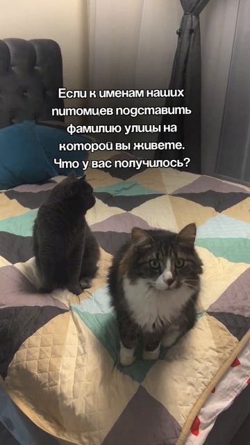 Что получилось?]
