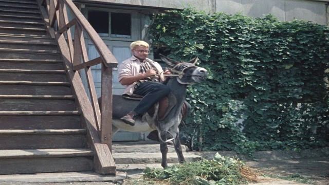 История одного дознания 2