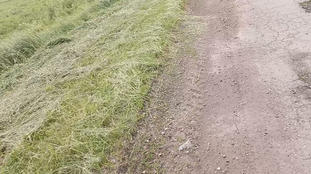 коновалы в белых халатах