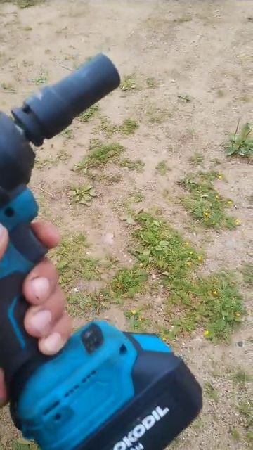 1000203485.mp4