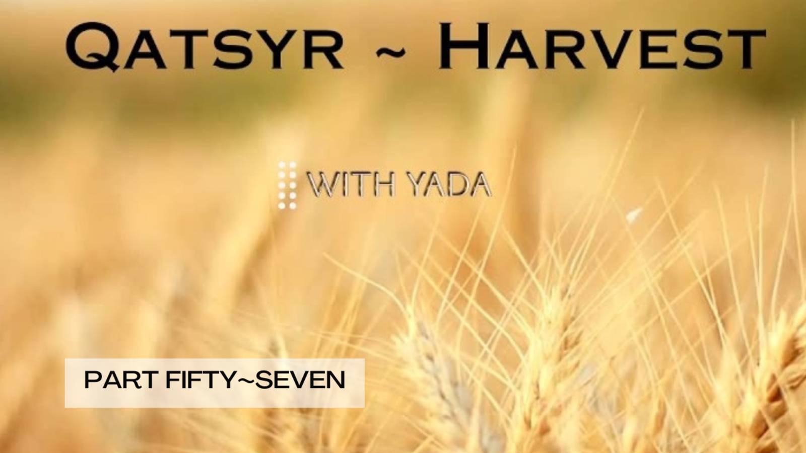 Qatsyr ~ Harvest Part Fifty~Seven 25 June 2025