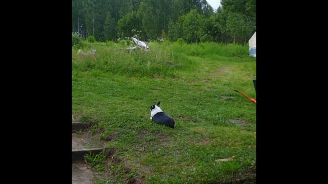 Хотылевские закаты
