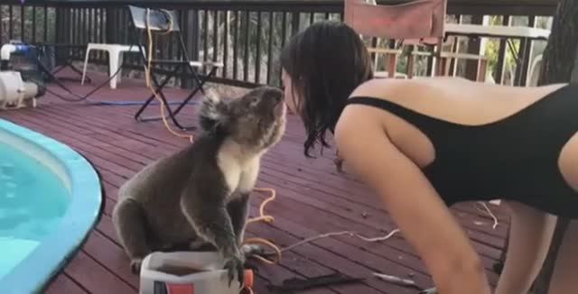 ... Самые медленные Животные в мире....