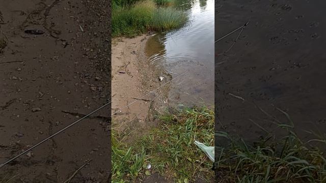1000020941.mp4