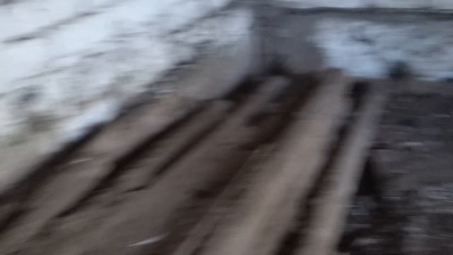 Обзор на наш курятник