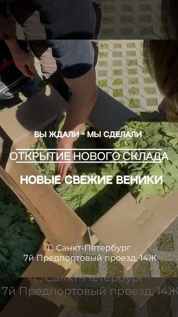 Provenik