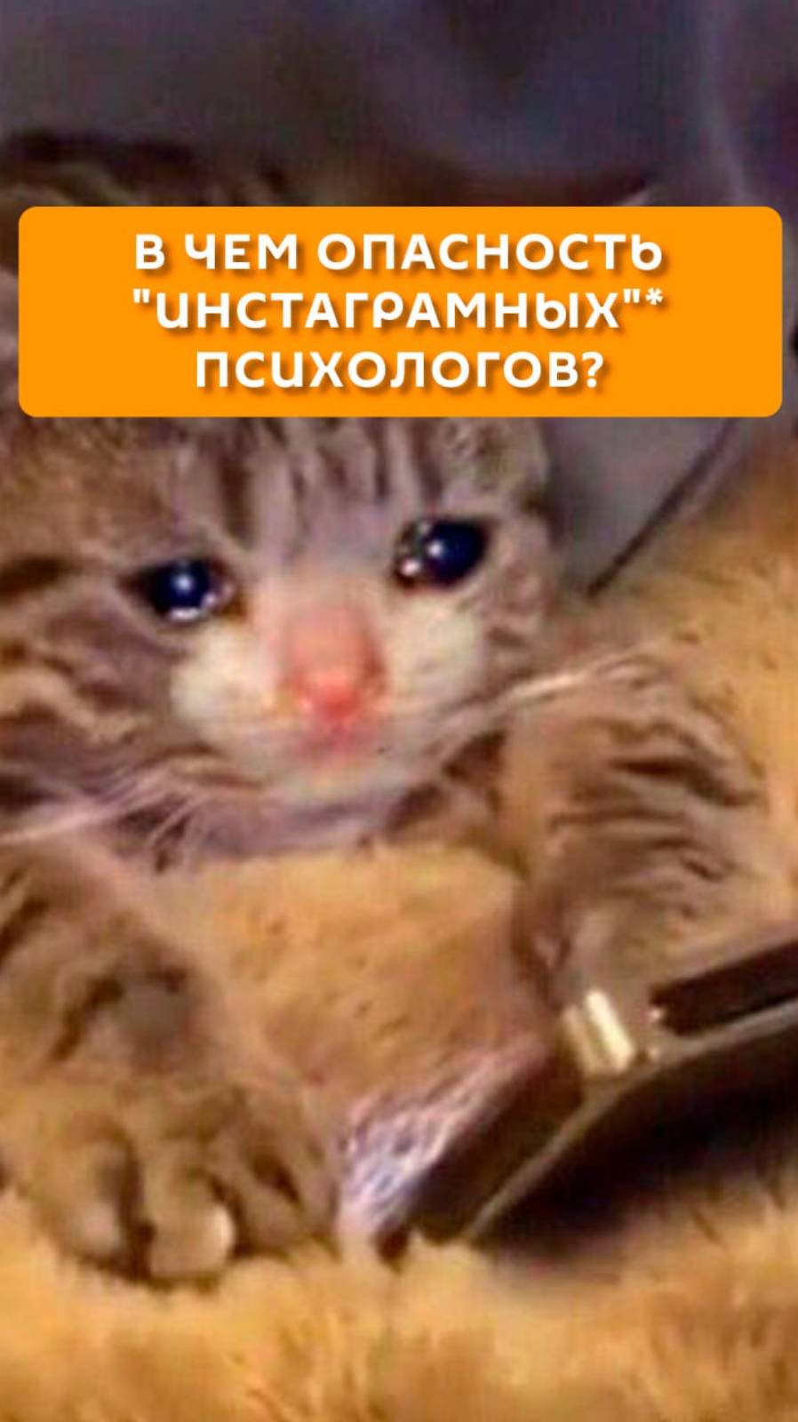 В чем опасность "инстаграмных"* психологов?