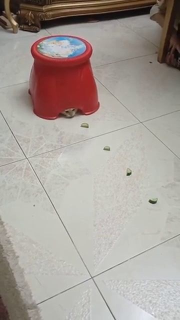работа под прикрытием 😅