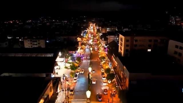 Голоса леса: песни и звуки животных, ч.1