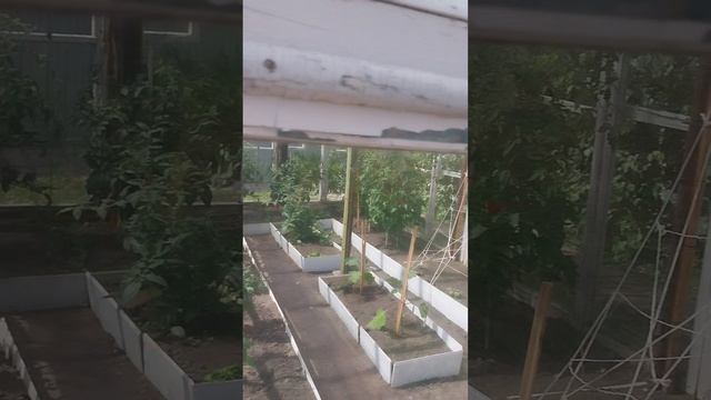 Дачный дом в деревне.
