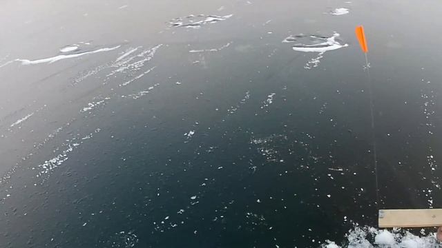 Самодельная жерлица .Ловля щуки с Иванычем и Петровичем