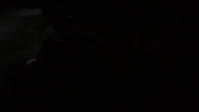 вечерний блюз