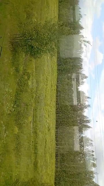 scene_output.mp4