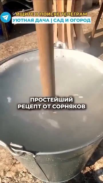 Бopьба с сopняками - дёшево и быстро