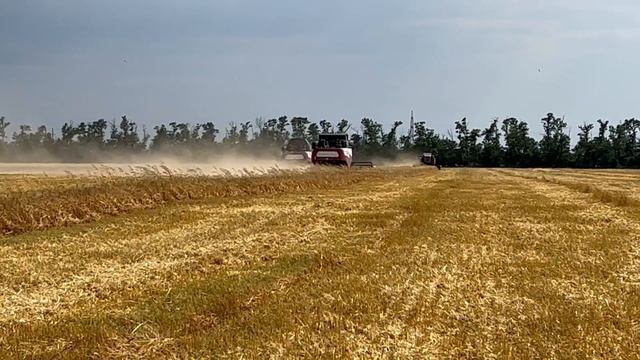 26-06-2025 г. В районе дан старт уборке ячменя